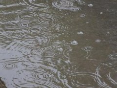 雨量監測儀，提供雨量原始數據
