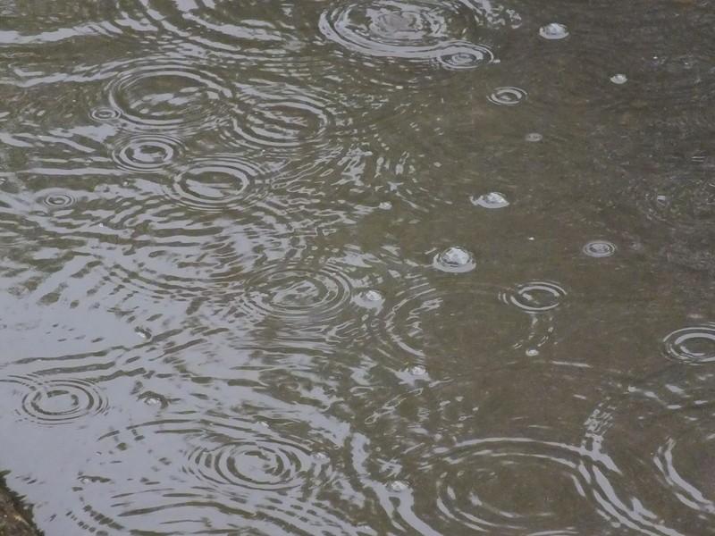 雨量監測儀，提供雨量原始數據