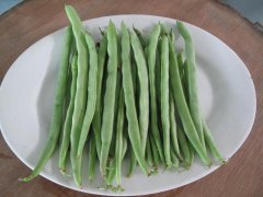 農(nóng)藥殘留檢測儀，檢測四季豆農(nóng)藥殘留含量