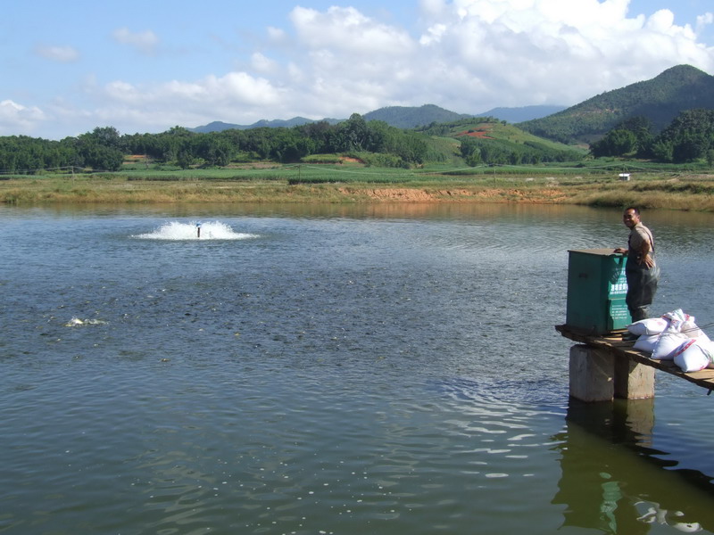 水產(chǎn)養(yǎng)殖檢測儀，為水產(chǎn)提供優(yōu)良的生長環(huán)境